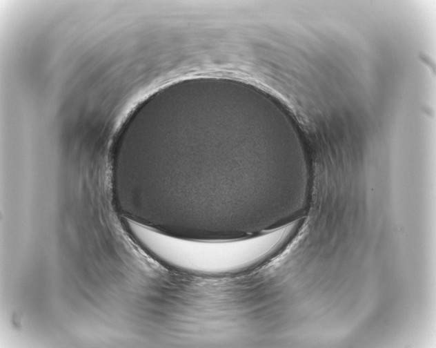 X0000093751506200710301114