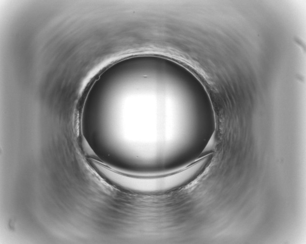 X0000093751510200710301114