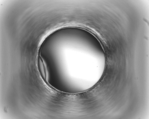 X0000093751512200710301114