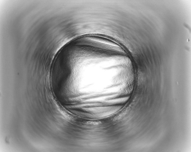 X0000093751513200710301114