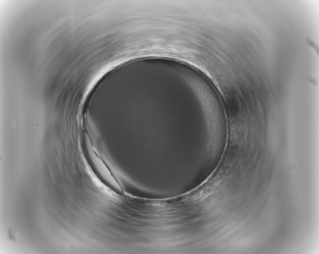X0000093751515200710301114