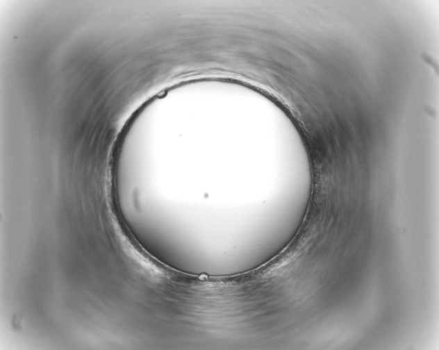 X0000093751518200710301114