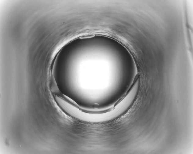 X0000093751520200710301114