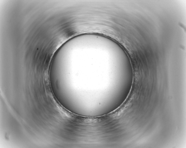 X0000093751521200710301114
