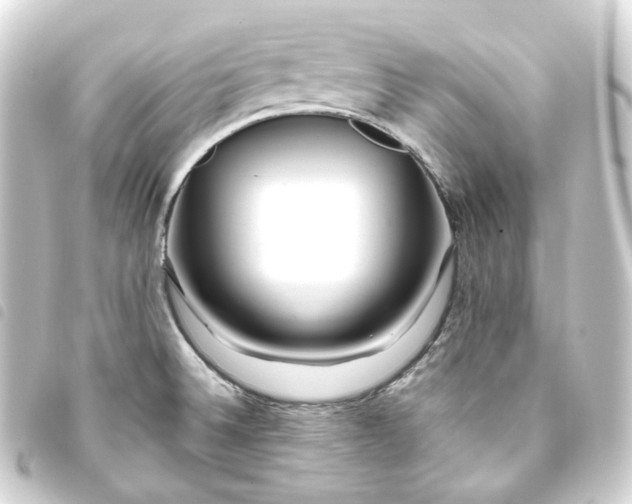 X0000093751524200710301114