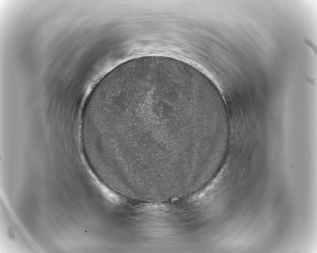 X0000093751525200710301115