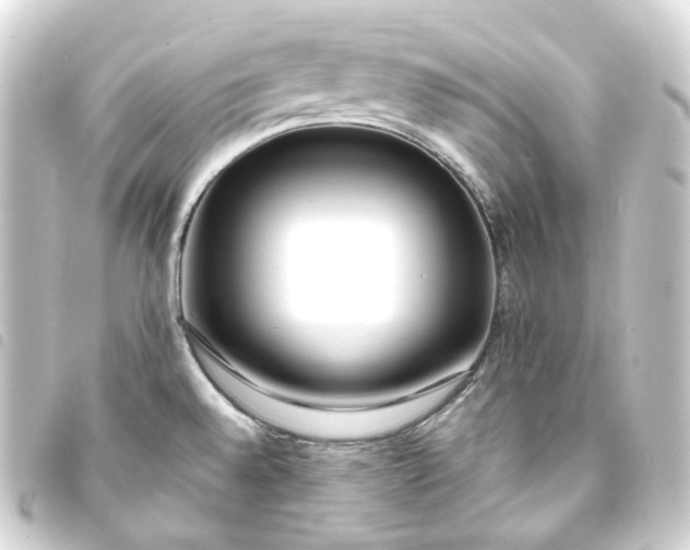 X0000093751528200710301115