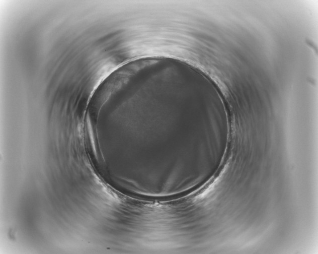 X0000093751529200710301115