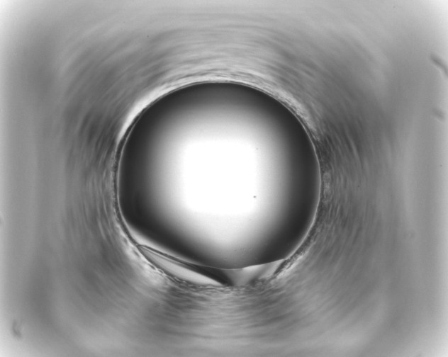 X0000093751530200710301115