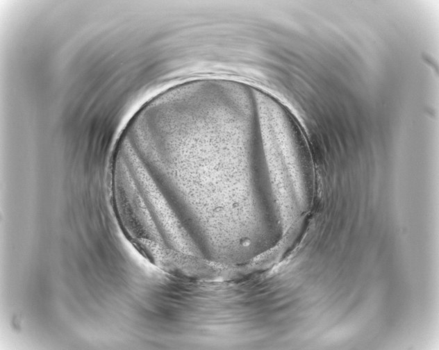 X0000093751531200710301115