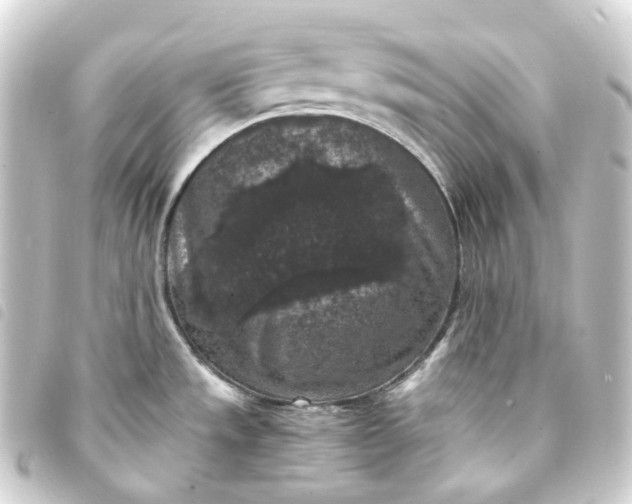 X0000093751533200710301115