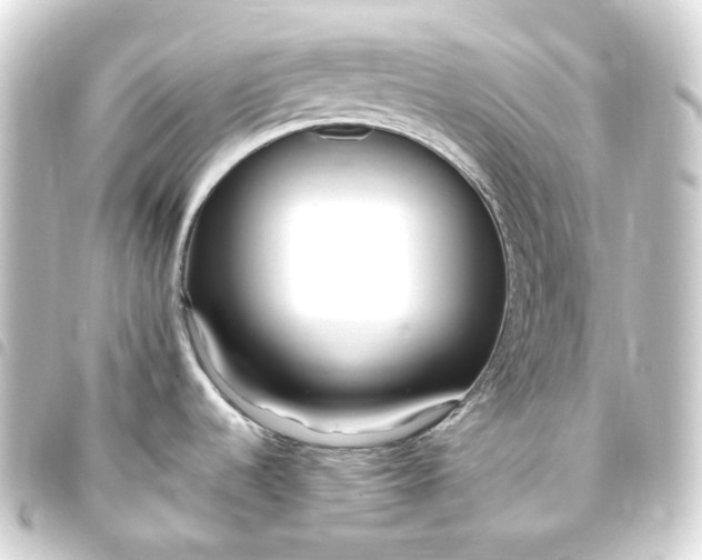 X0000093751536200710301115