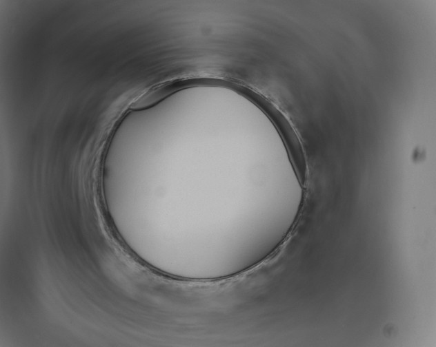 X0000093750001200711061059