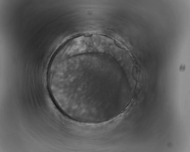 X0000093750002200711061059