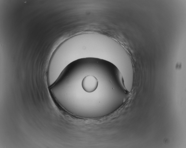 X0000093750003200711061059