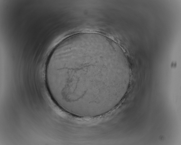 X0000093750005200711061059