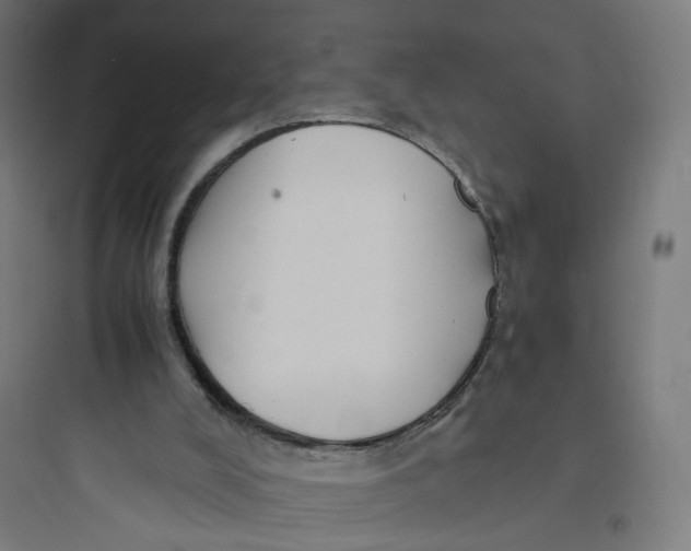 X0000093750008200711061058