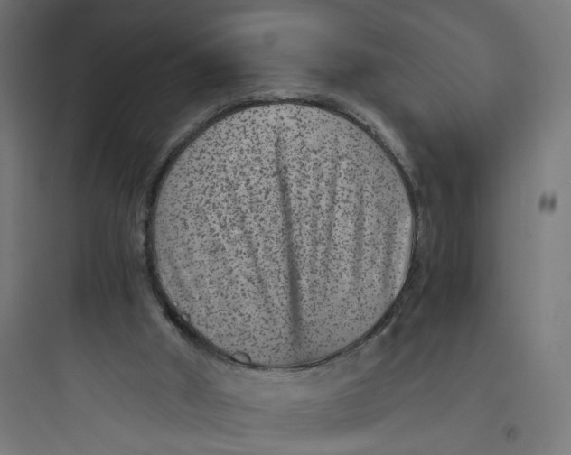 X0000093750010200711061058