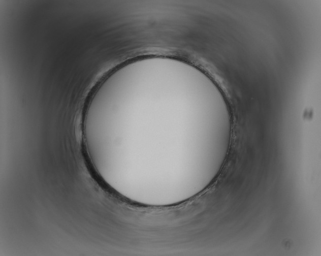 X0000093750011200711061058