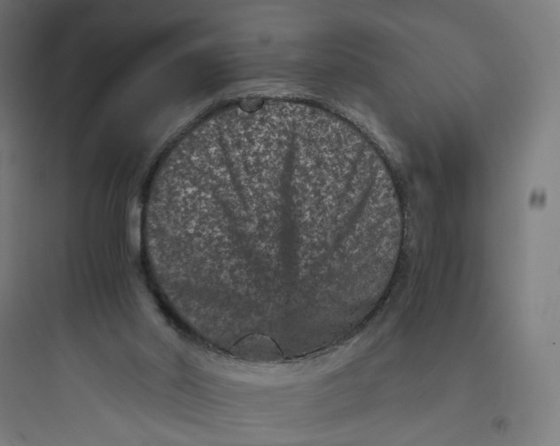 X0000093750014200711061058