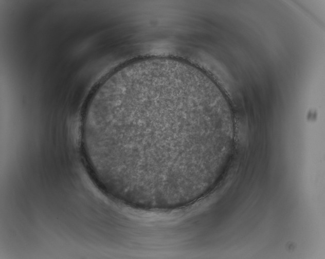 X0000093750016200711061058