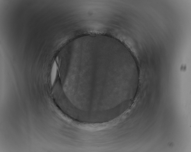 X0000093750017200711061058