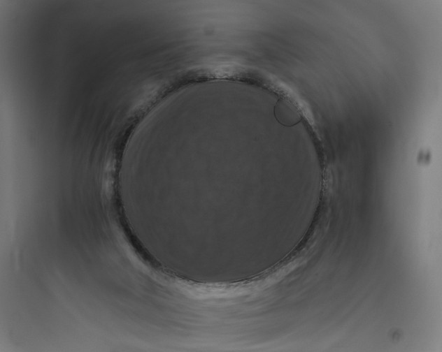 X0000093750018200711061058