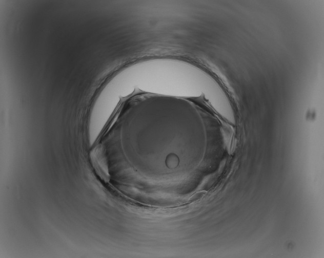 X0000093750019200711061058