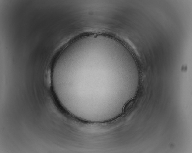 X0000093750020200711061058