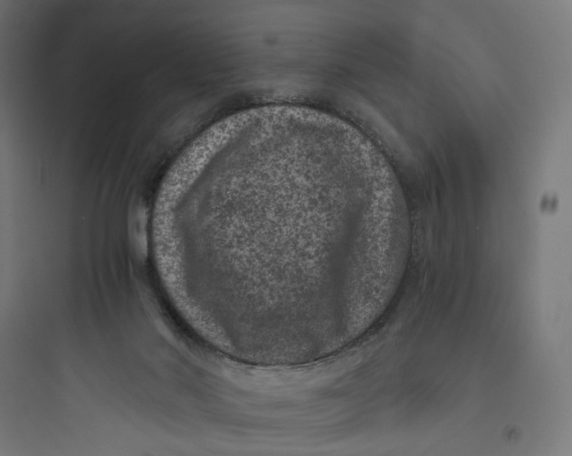 X0000093750022200711061058