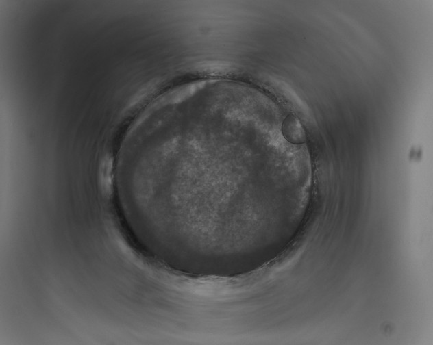 X0000093750024200711061058