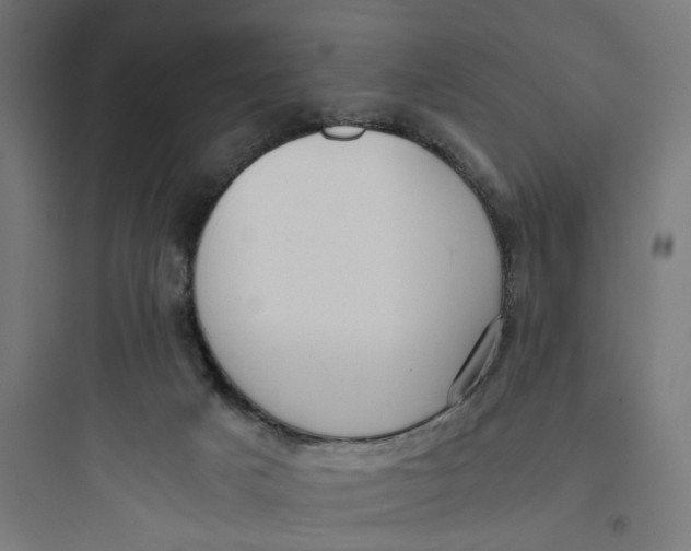 X0000093750025200711061058