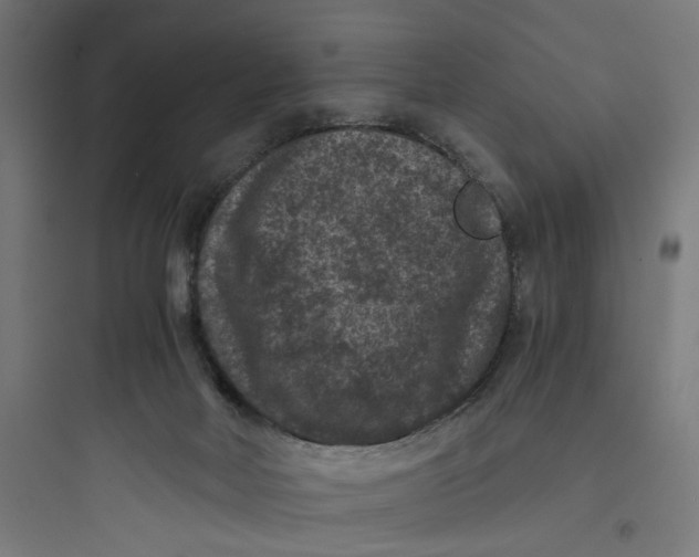 X0000093750026200711061058