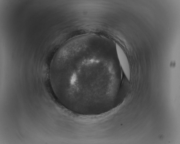 X0000093750029200711061058