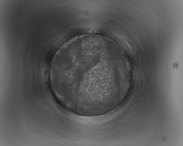 X0000093750030200711061058