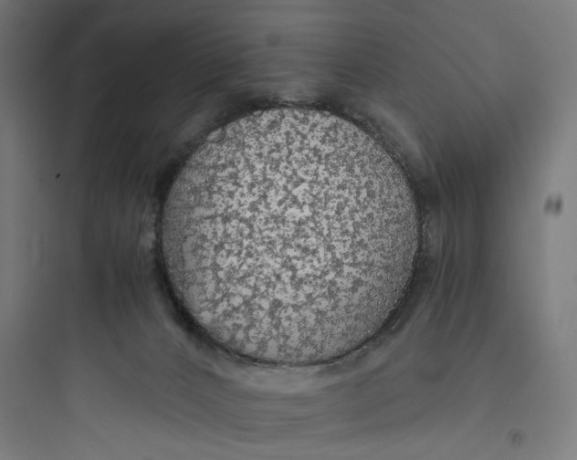 X0000093750032200711061058