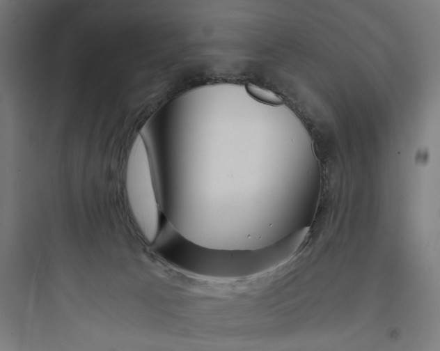 X0000093750033200711061058