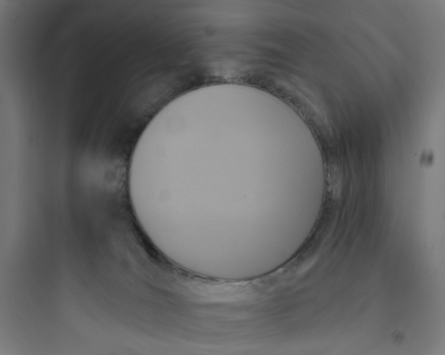 X0000093750036200711061058