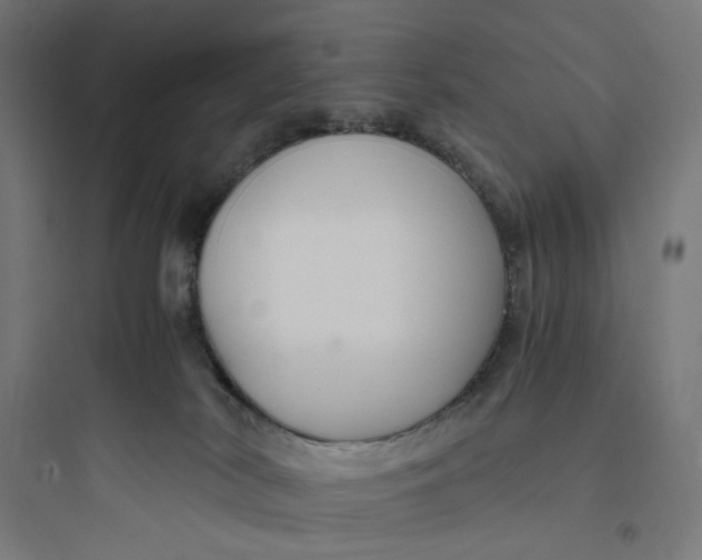 X0000093750038200711061058