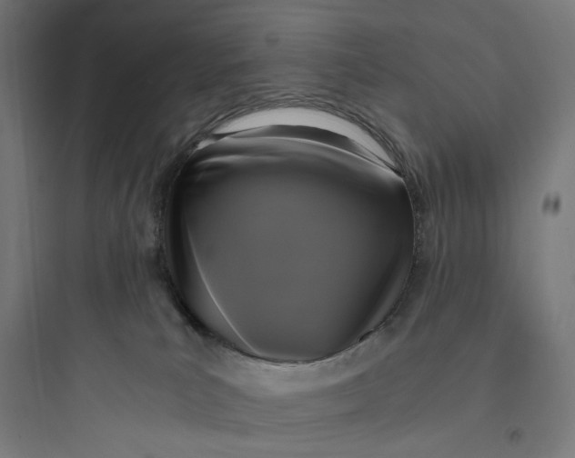 X0000093750039200711061058