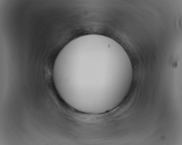 X0000093750040200711061058