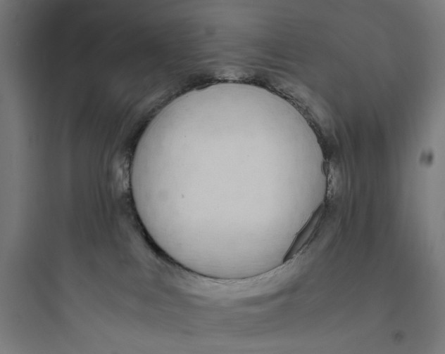 X0000093750043200711061058