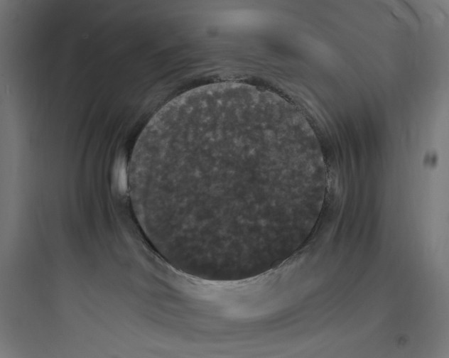 X0000093750046200711061058