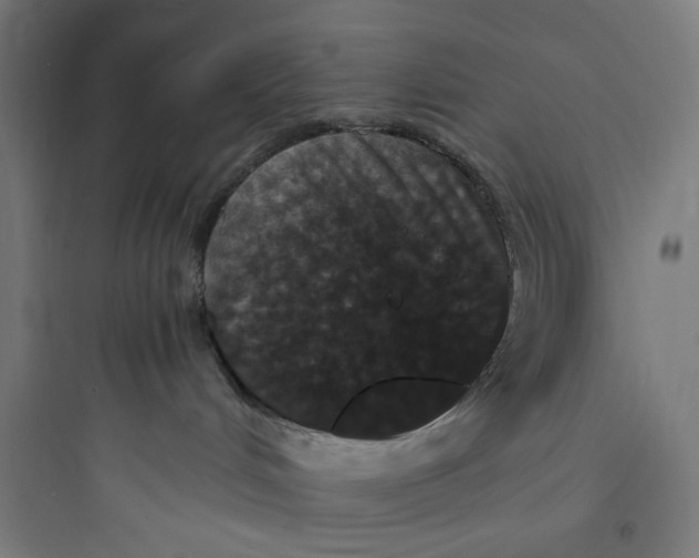 X0000093750048200711061058