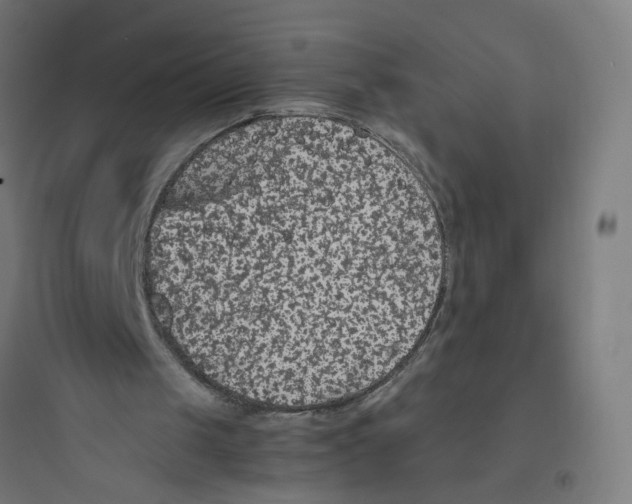 X0000093750049200711061057