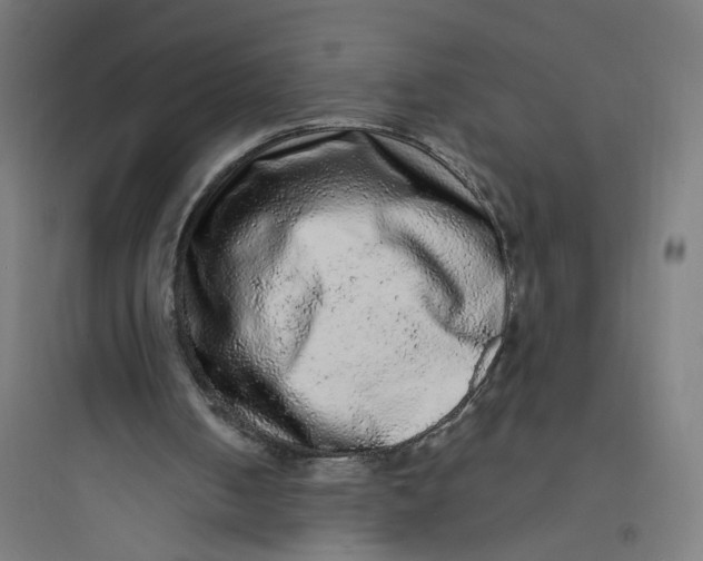 X0000093750050200711061057