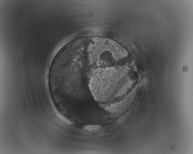 X0000093750051200711061057