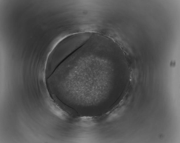 X0000093750052200711061057