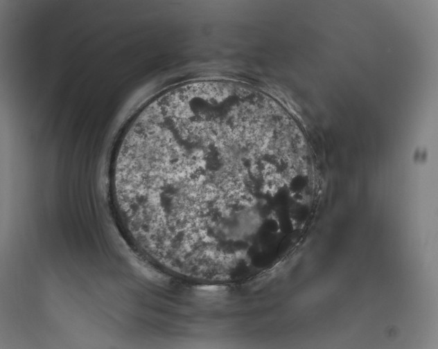 X0000093750053200711061057