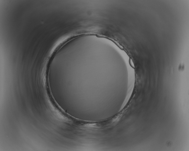 X0000093750054200711061057